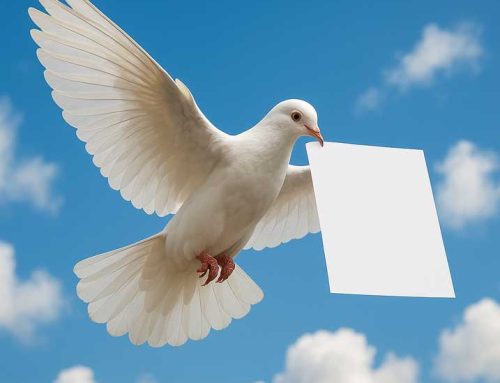 Tempo di pace…contributiva!
