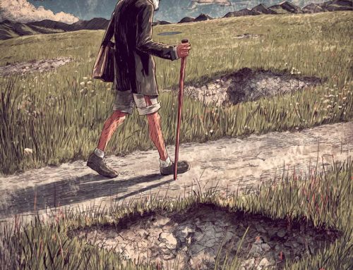 I buchi contributivi del signor Federico